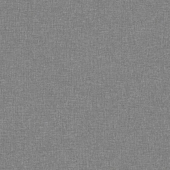 Canvas Graphite - 6119