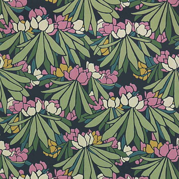 Rhododendron - 2412-176-01