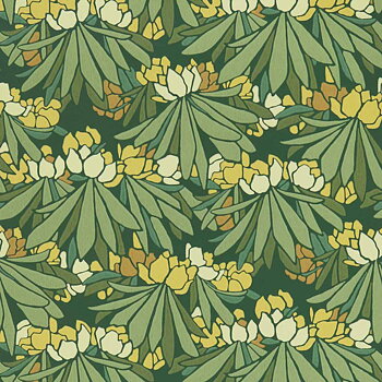 Rhododendron - 2412-176-02