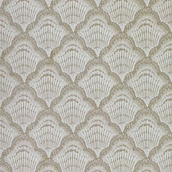 Calico Shell - 2412-179-01
