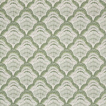 Calico Shell - 2412-179-02