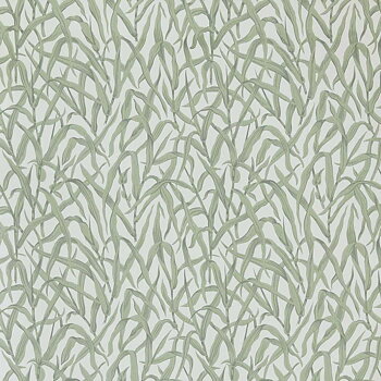 Ornamental Grasses - 2513-185-01