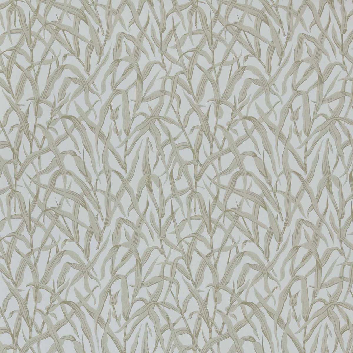 Ornamental Grasses - 2513-185-02