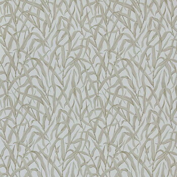 Ornamental Grasses - 2513-185-02