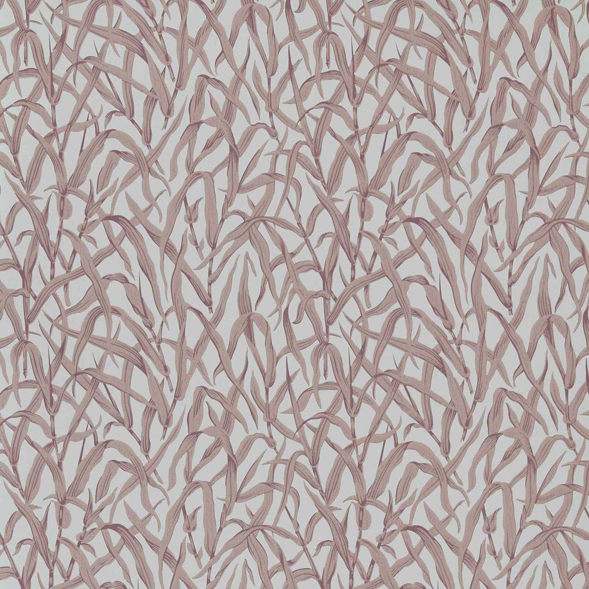 Ornamental Grasses - 2513-185-03