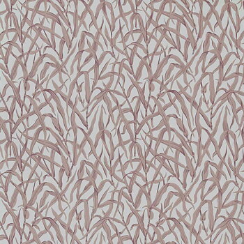 Ornamental Grasses - 2513-185-03