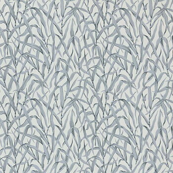 Ornamental Grasses - 2513-185-04