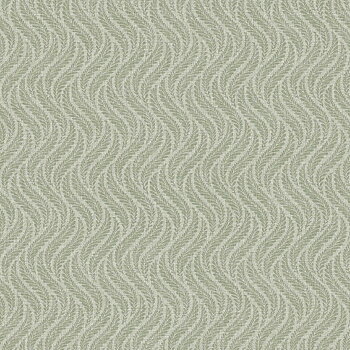 Little Fern - 7772