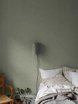 Salix Alba - 7787