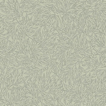 Salix Alba - 7787