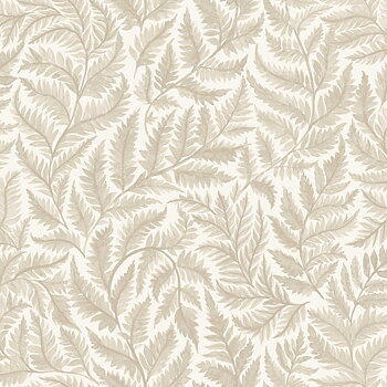 Ferns - 7789