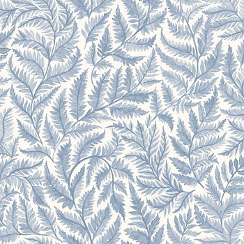 Ferns - 7790