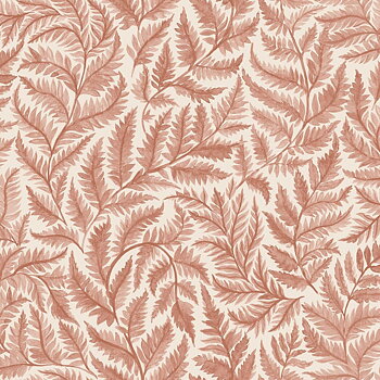 Ferns - 7791