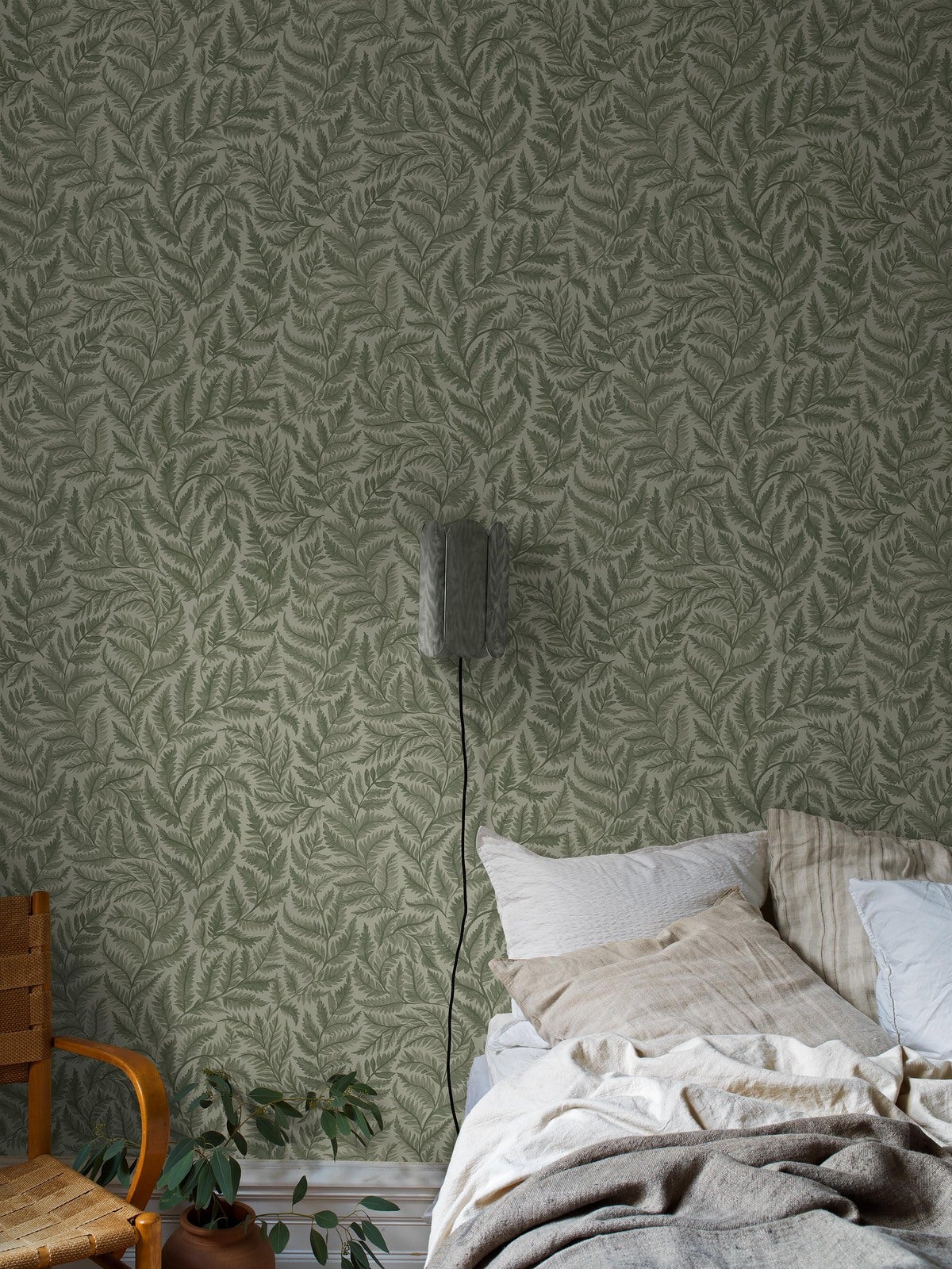 Ferns - 7792 - 2