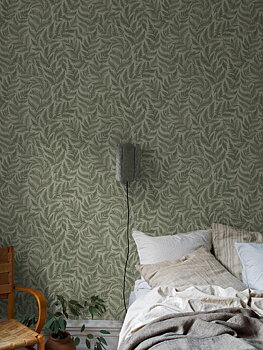 Ferns - 7792