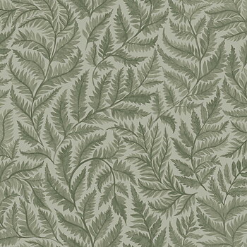 Ferns - 7792