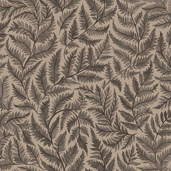 Ferns - 7793