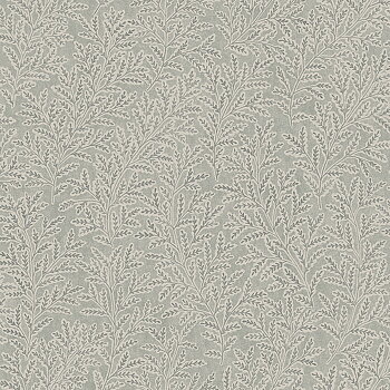 Molly´s Meadow - 3569