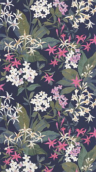 Songe De Jasmin - BJAR202564567