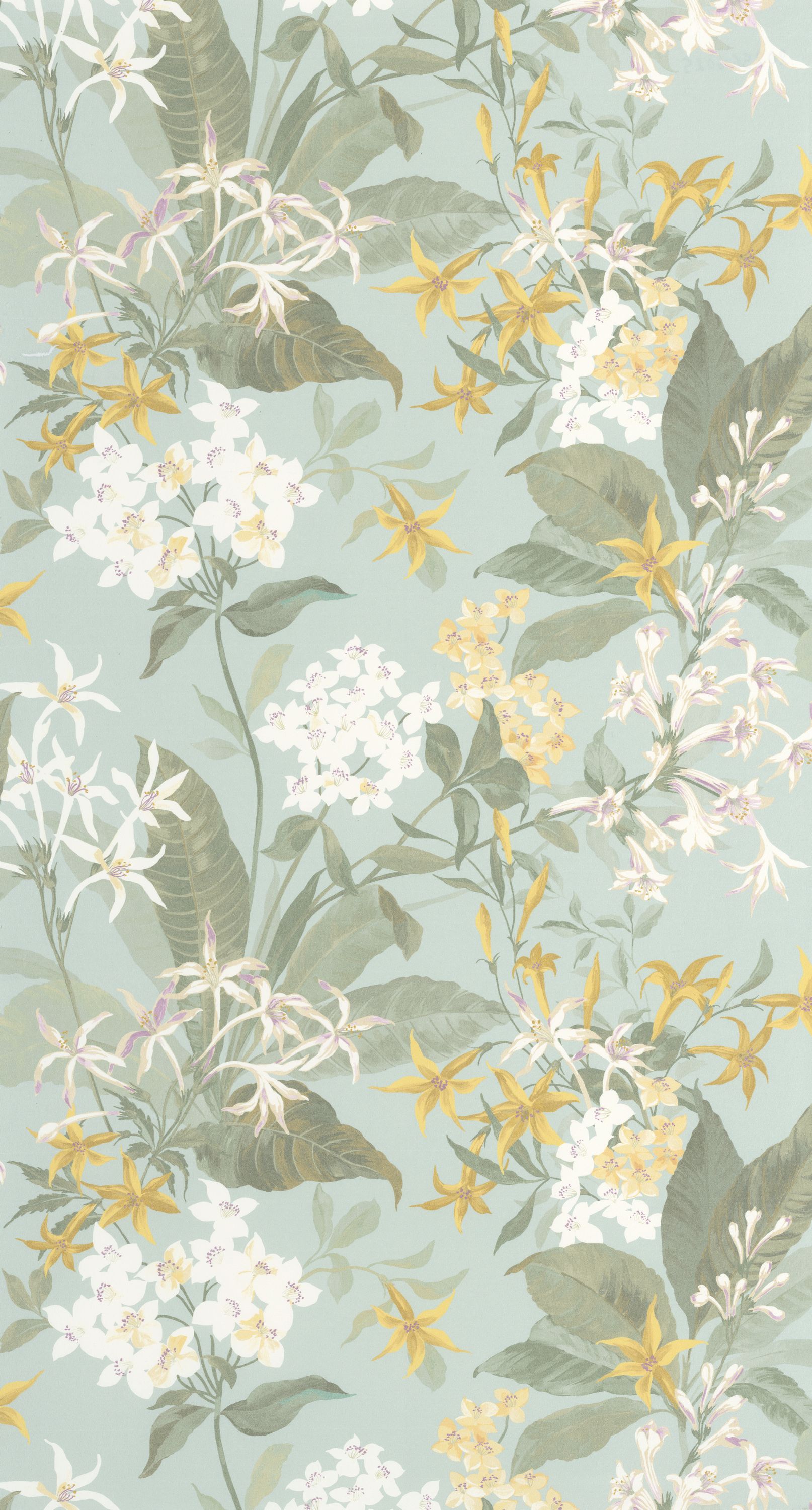Songe De Jasmin - BJAR202566025