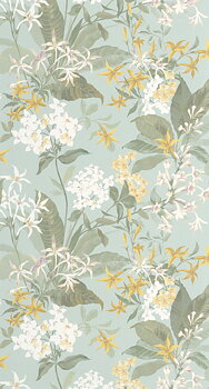 Songe De Jasmin - BJAR202566025