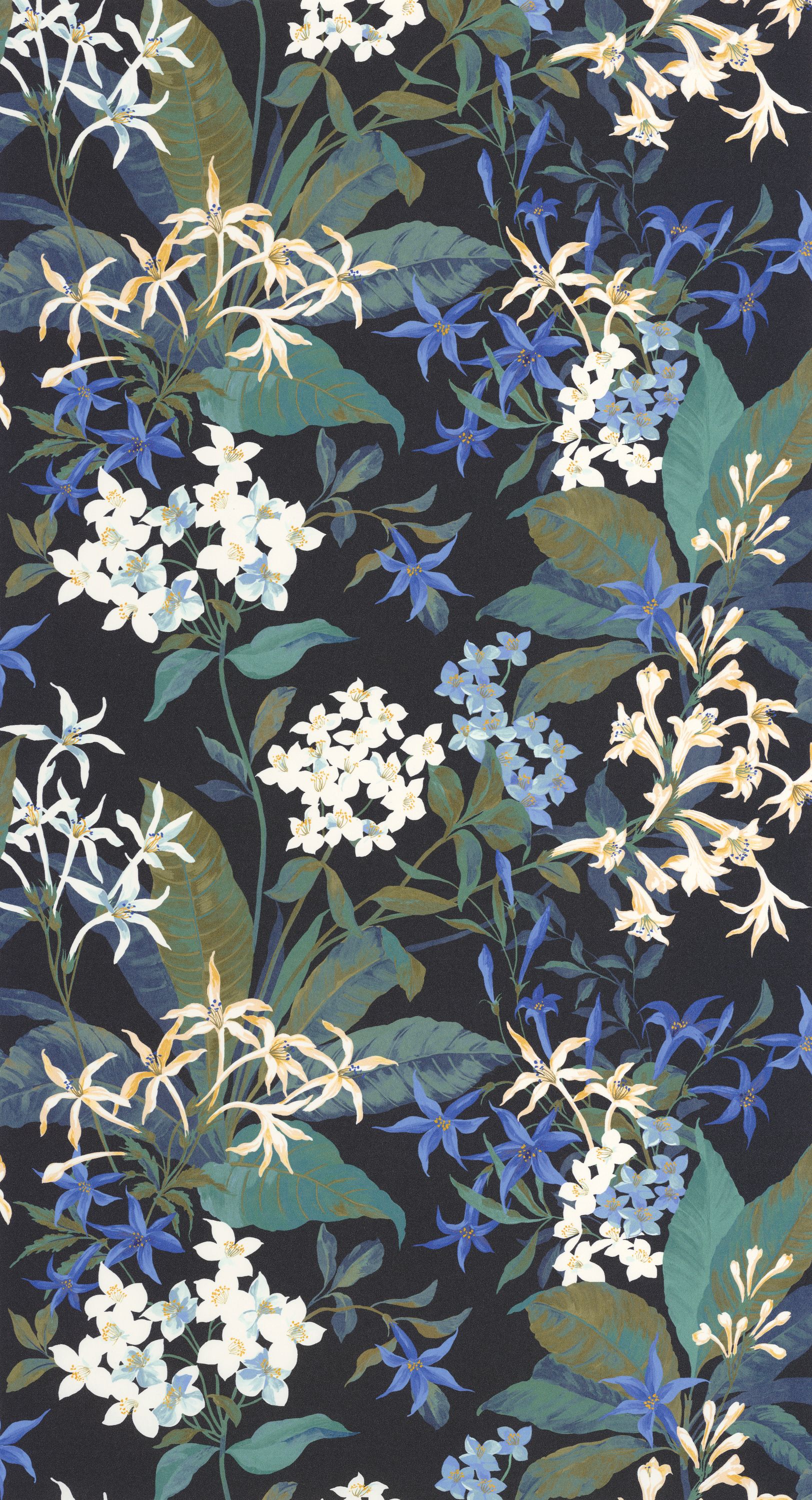 Songe De Jasmin - BJAR202566789