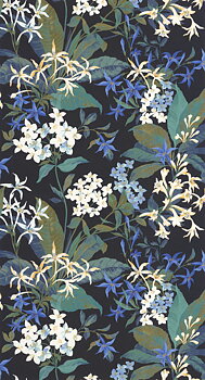 Songe De Jasmin - BJAR202566789