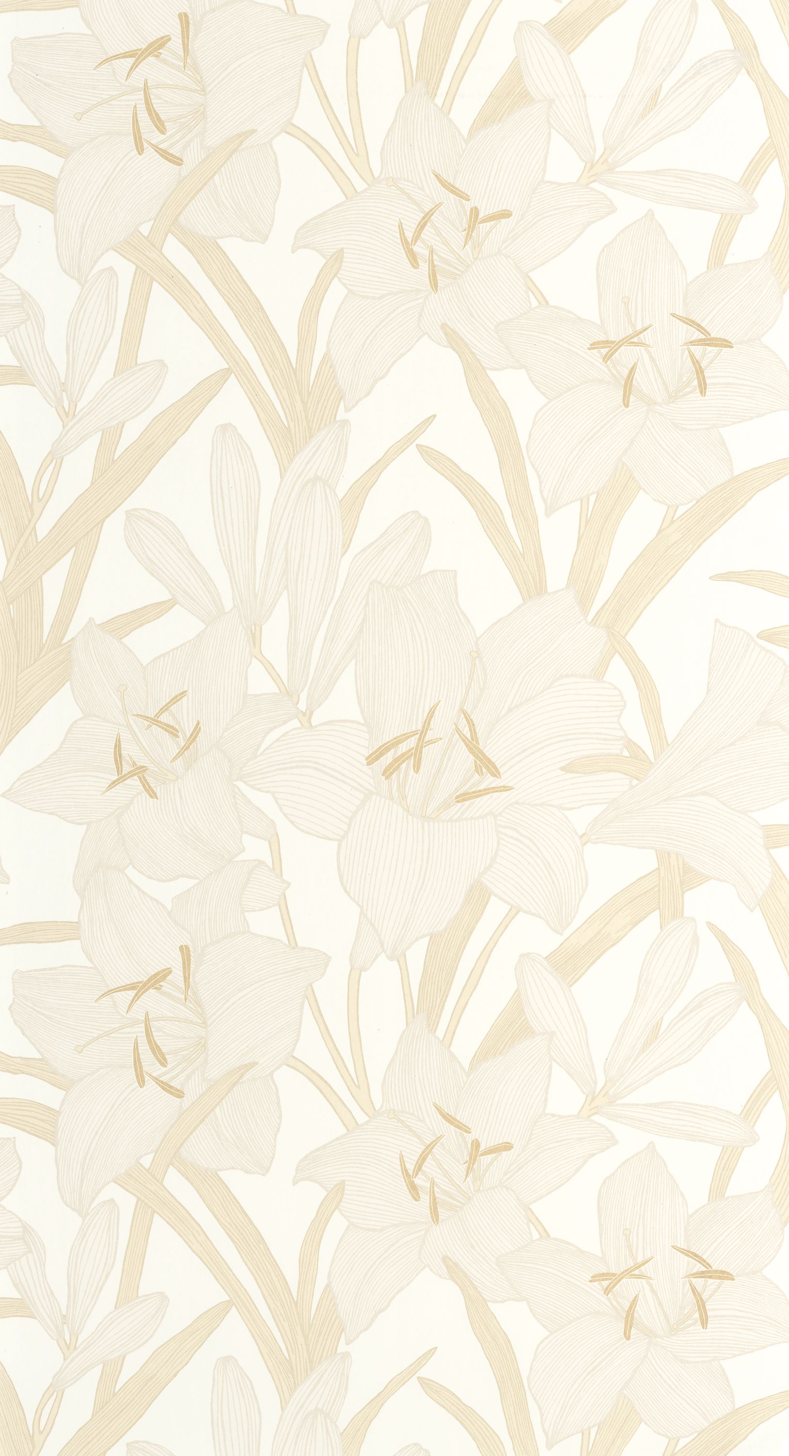 Clair De Lys - BJAR202581001