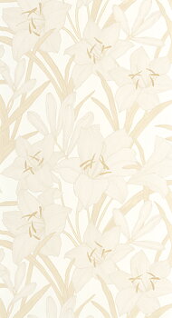 Clair De Lys - BJAR202581001