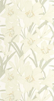 Clair De Lys - BJAR202587015