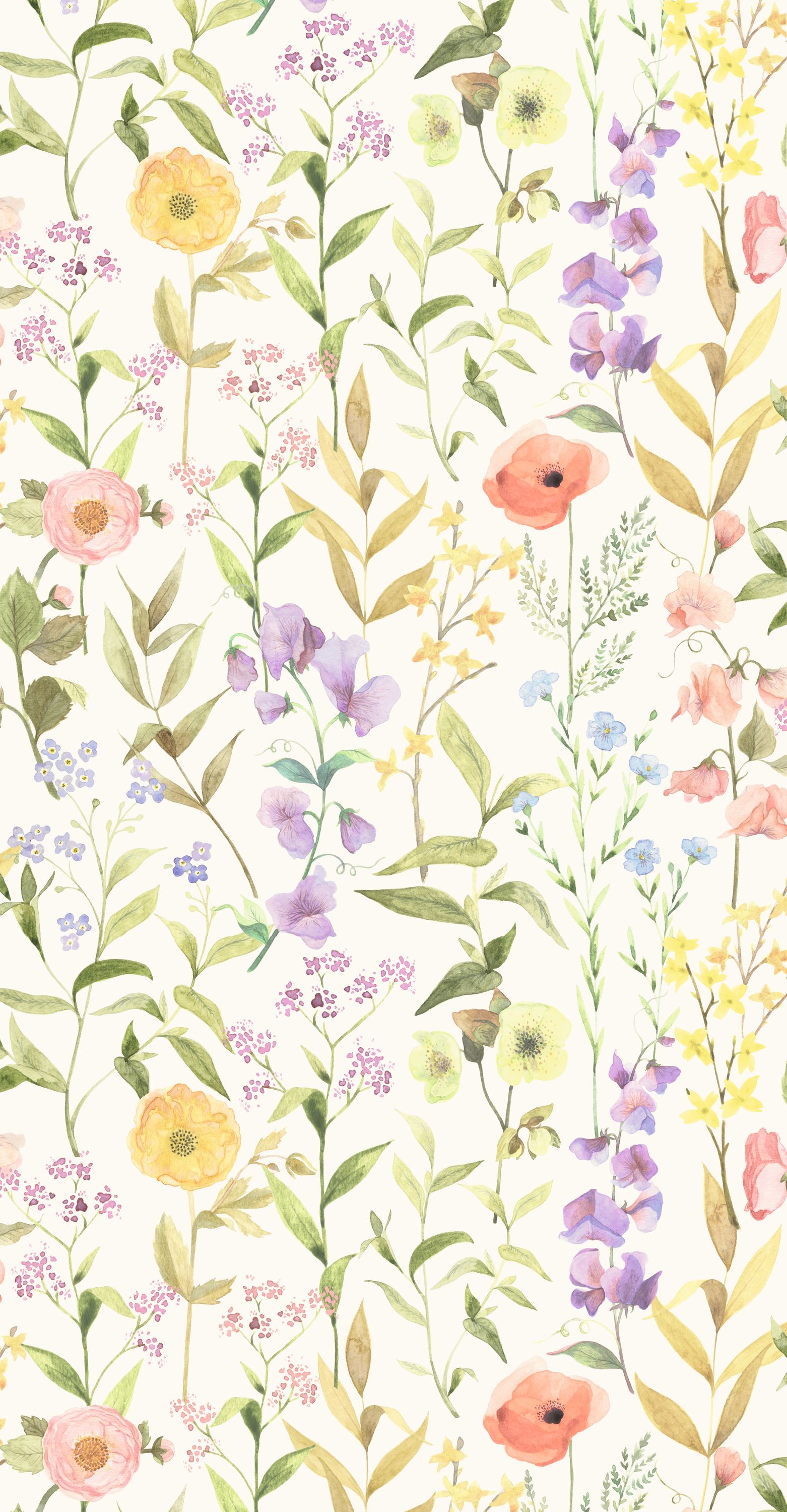 Fleurs Des Champs - BJAR87650825