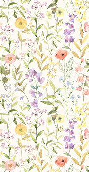 Fleurs Des Champs - BJAR87650825