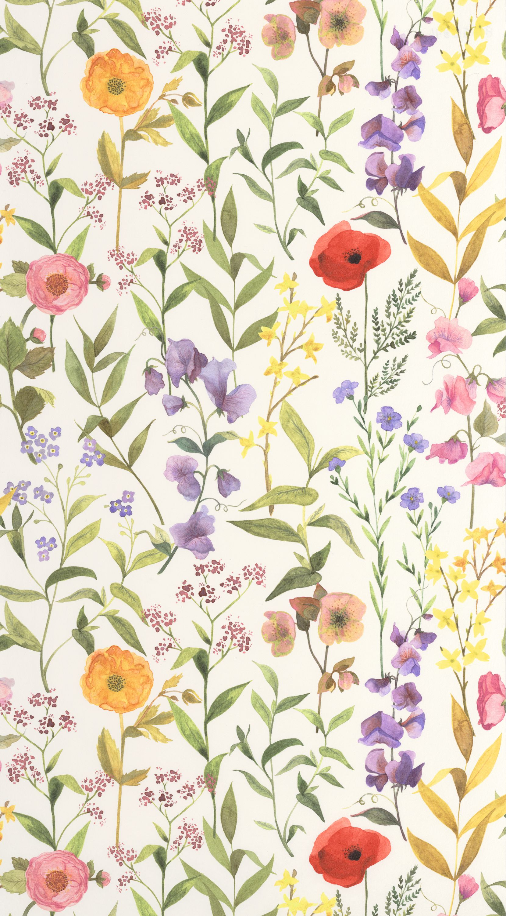 Fleurs Des Champs - BJAR87652874