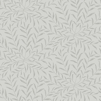 Willow - 201502
