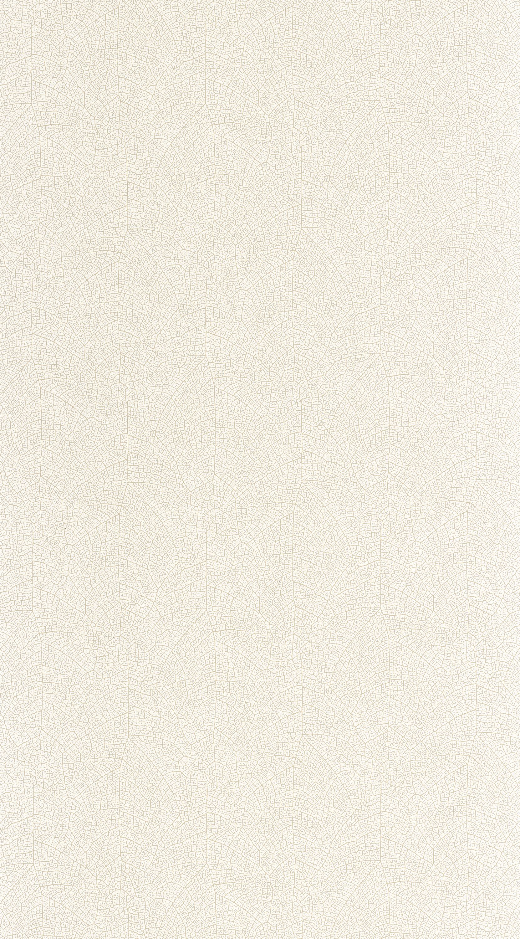 Nola - VEGE201281101