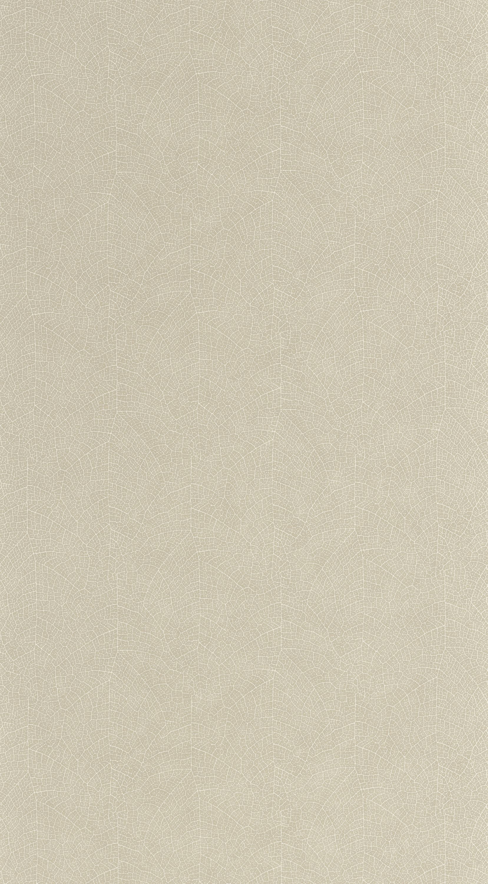 Nola - VEGE201281303