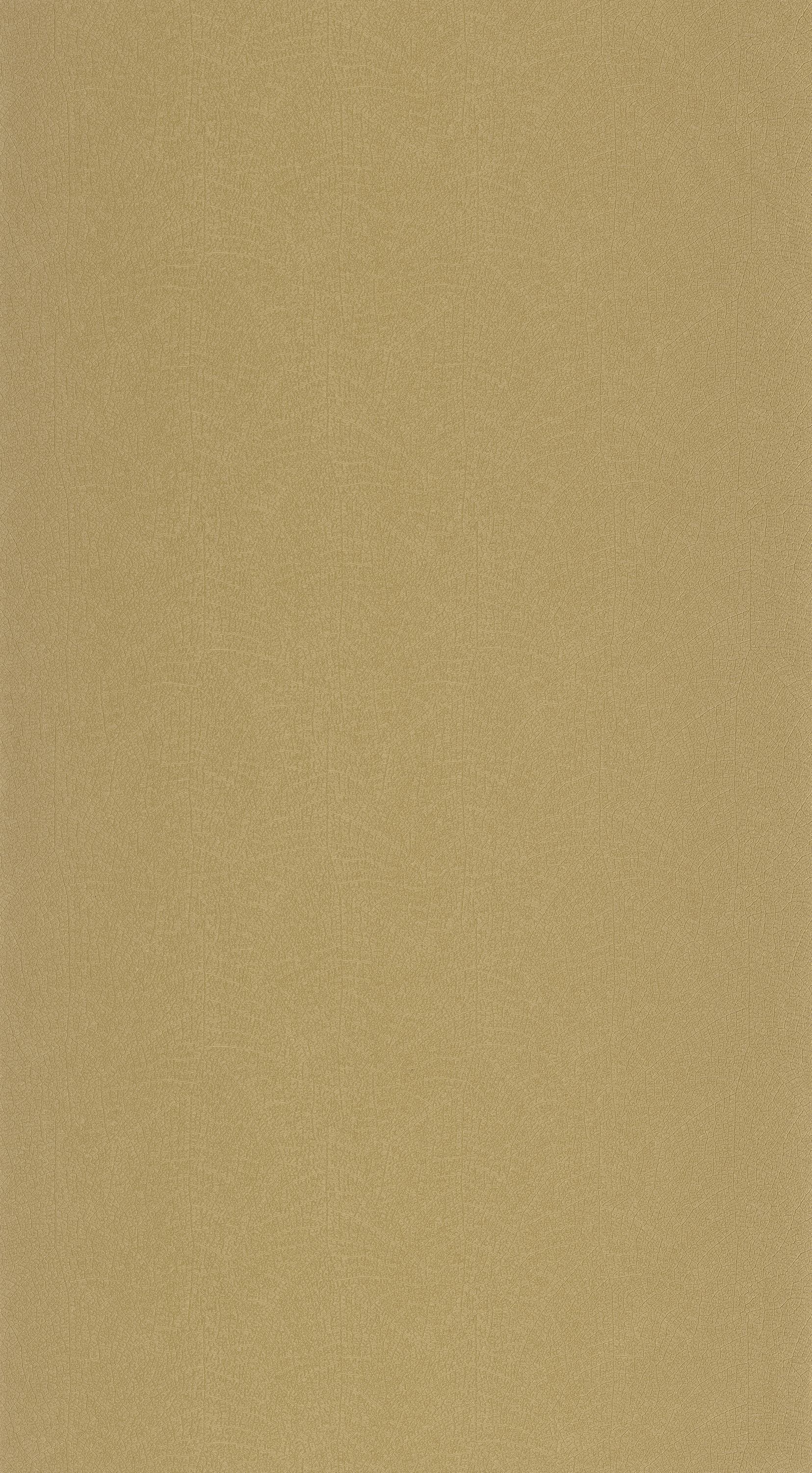 Nola - VEGE201282332