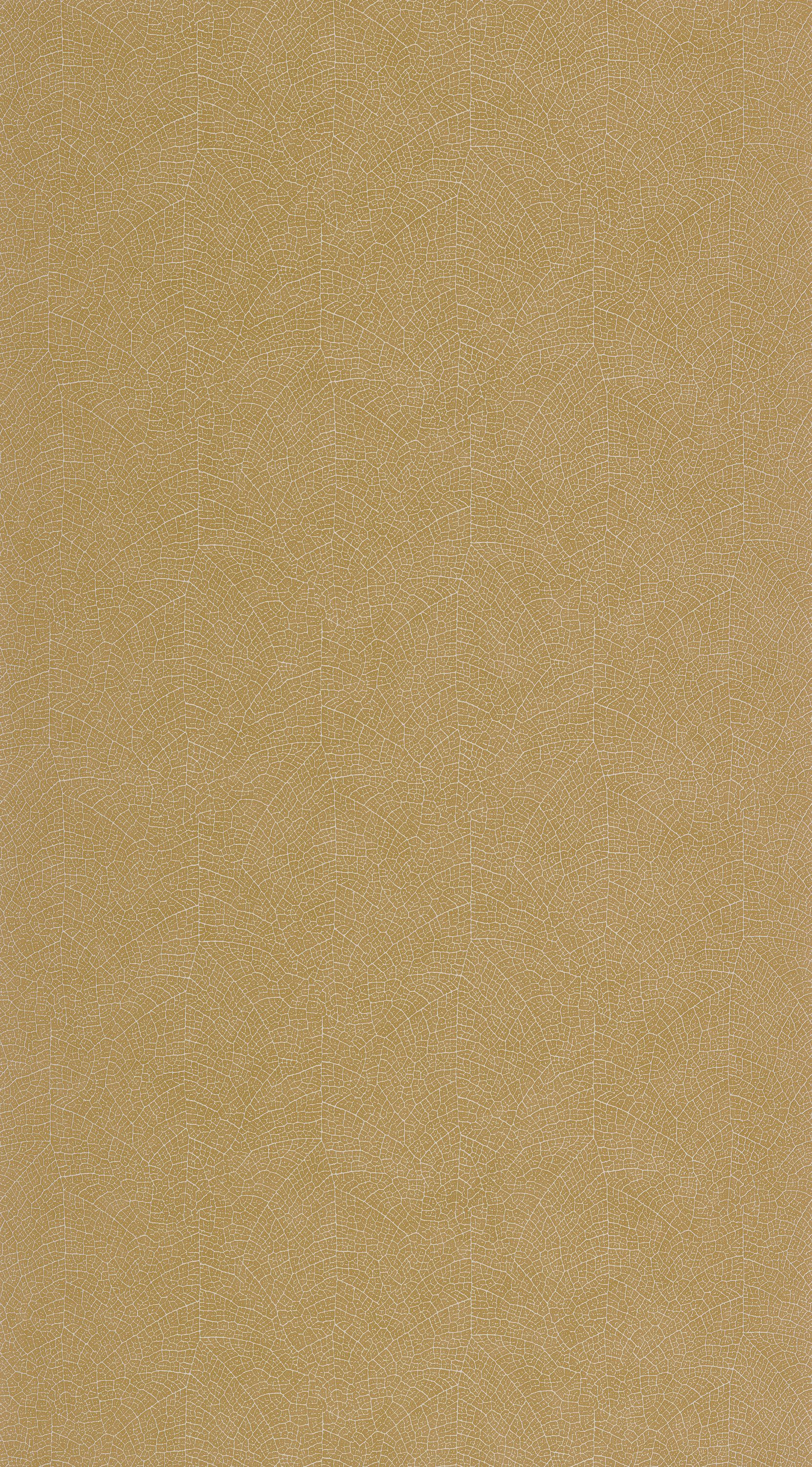 Nola - VEGE201282525