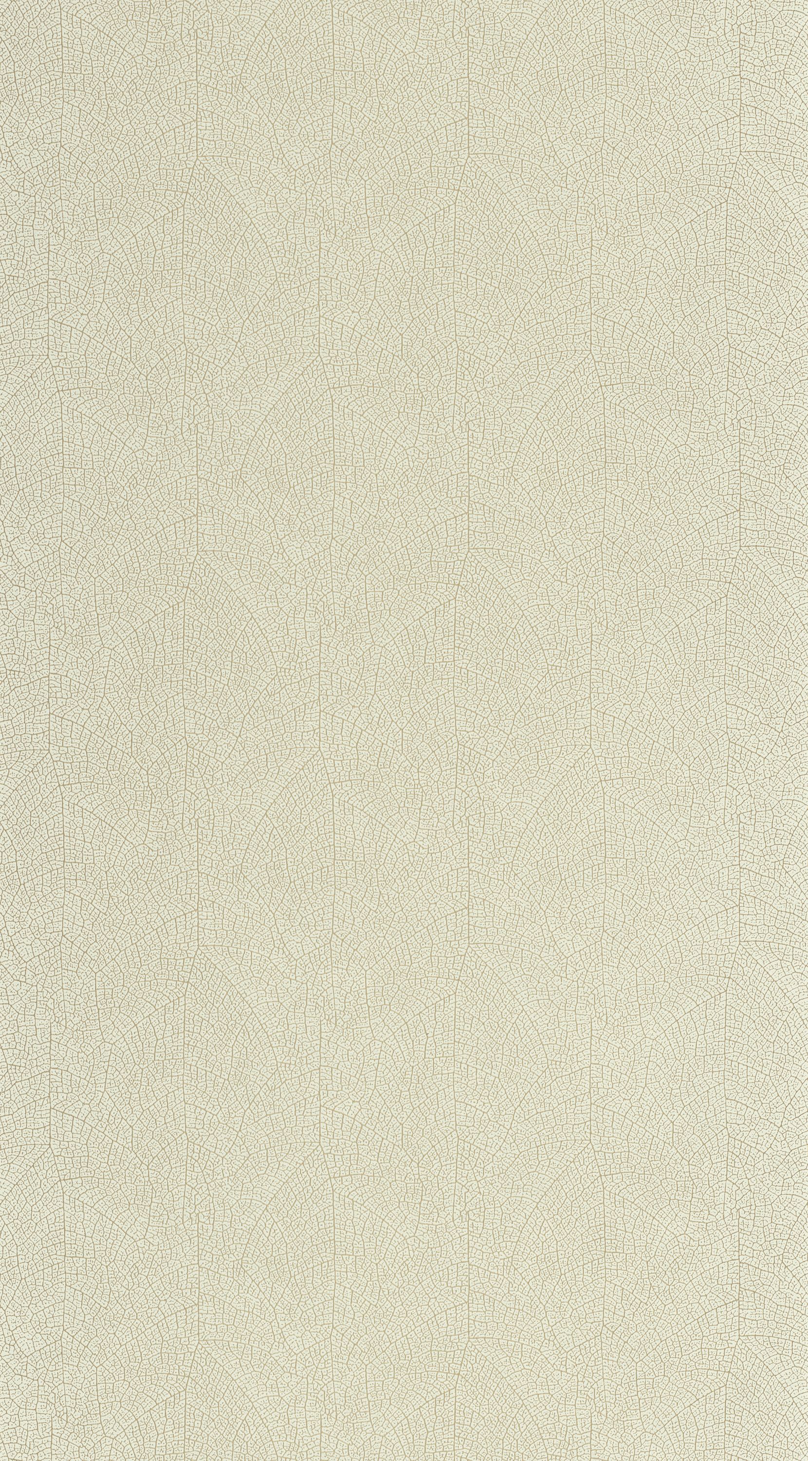 Nola - VEGE201287117