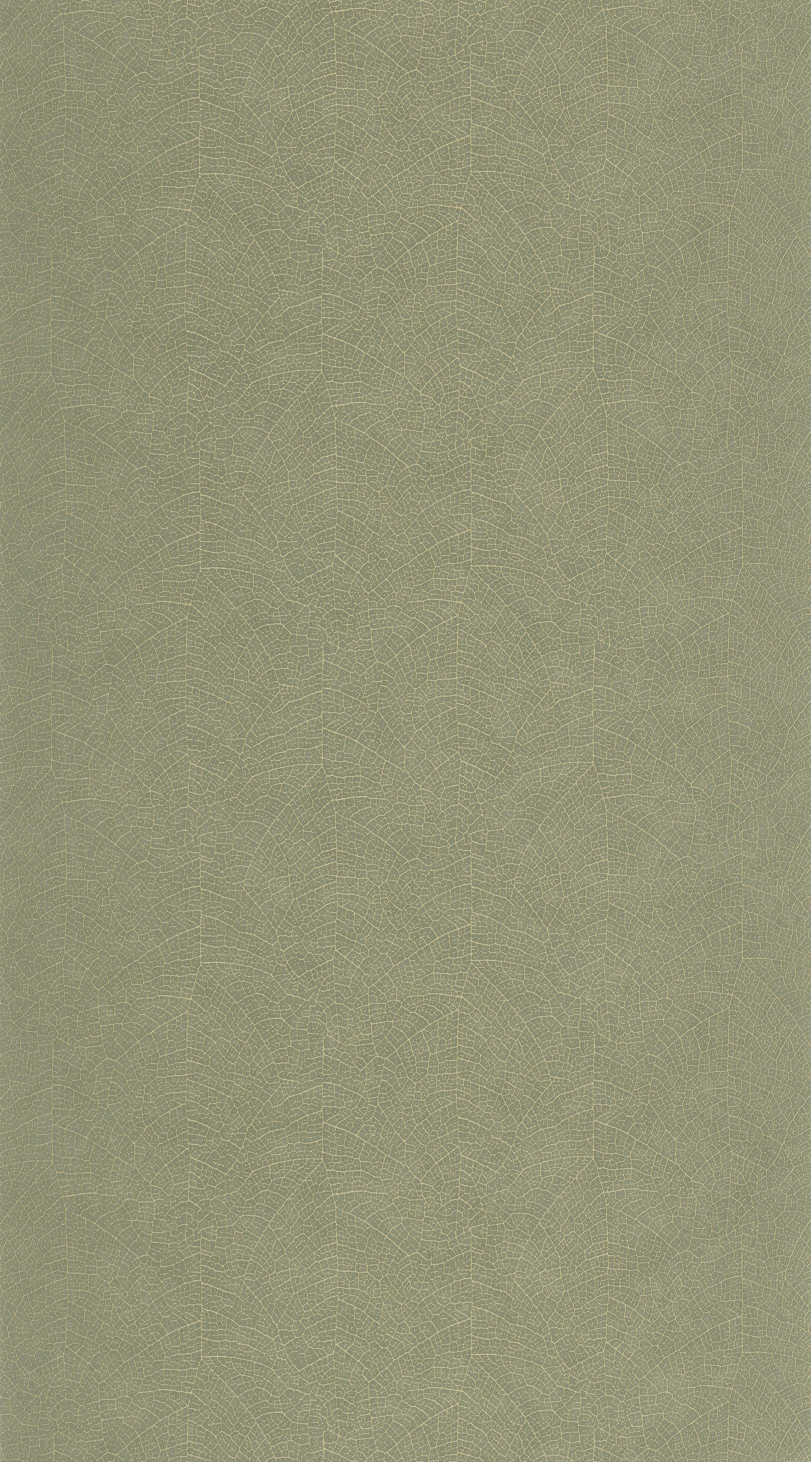 Nola - VEGE201287373