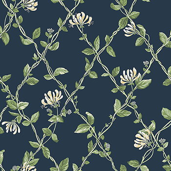 Honeysuckle - 8851