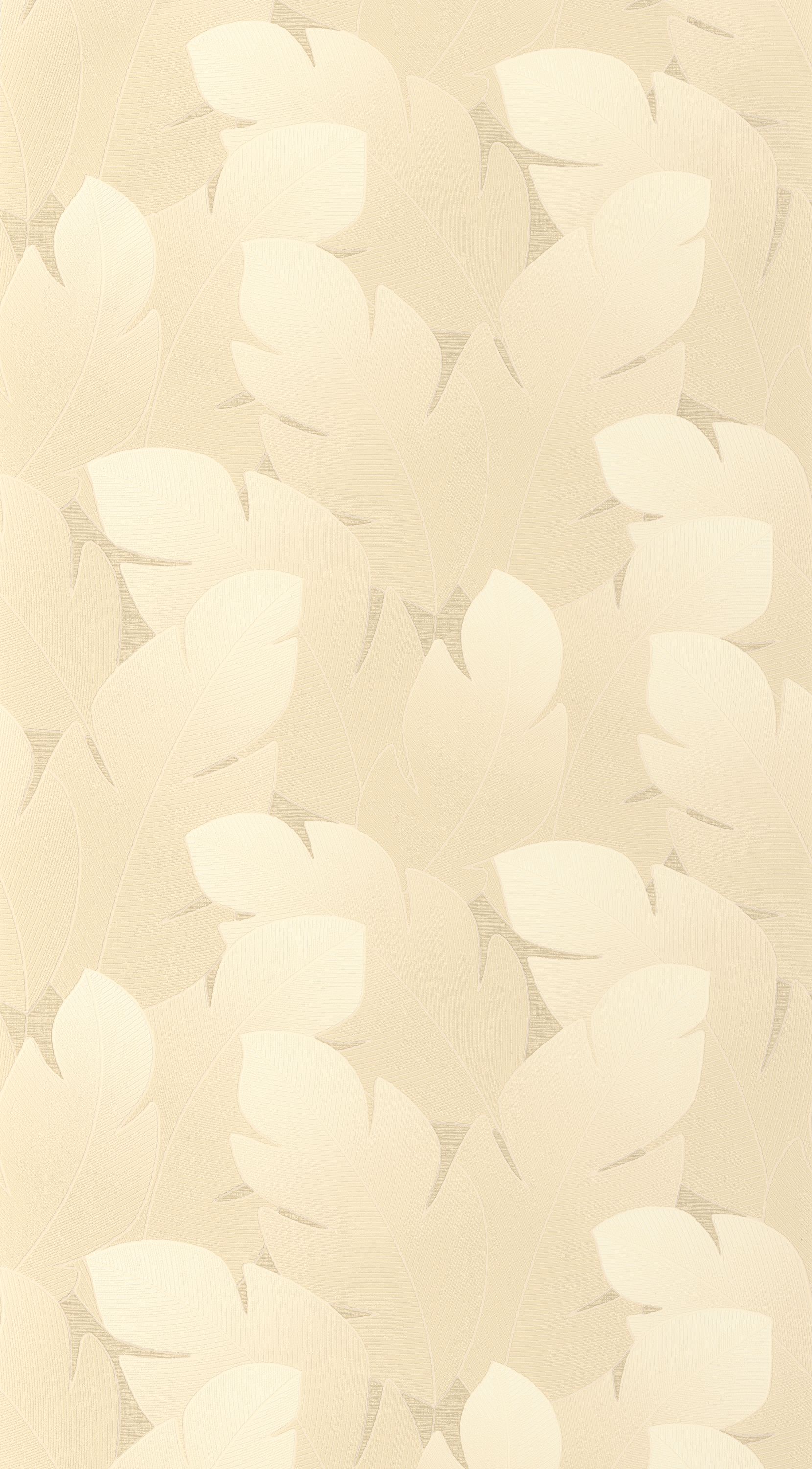 Yuto - VEGE201291212