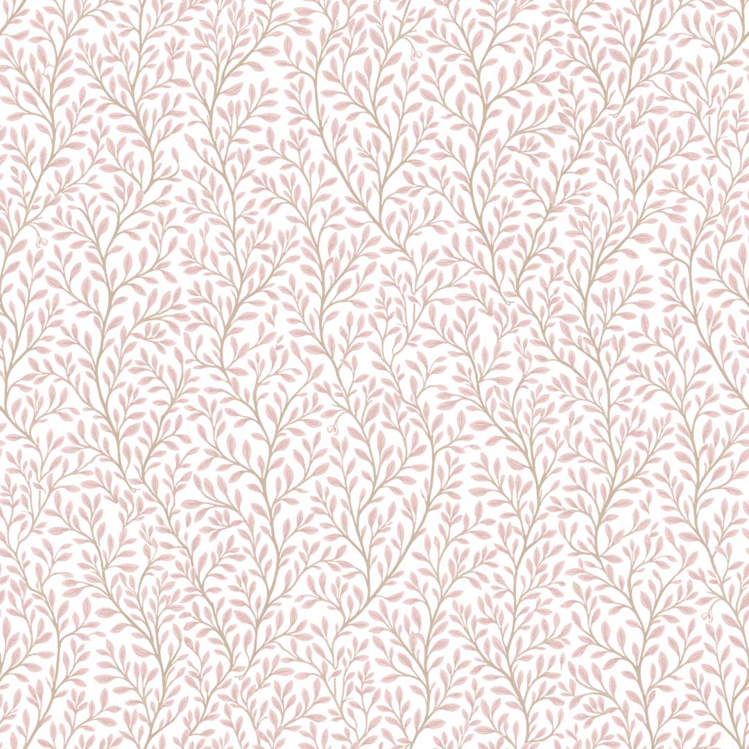 Fruscio - 8364