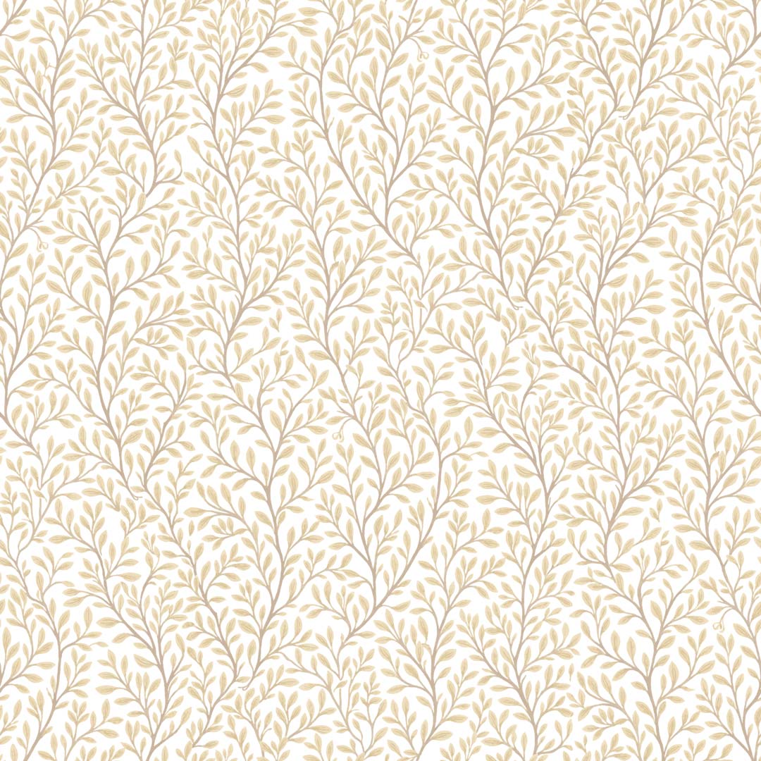 Fruscio - 8366