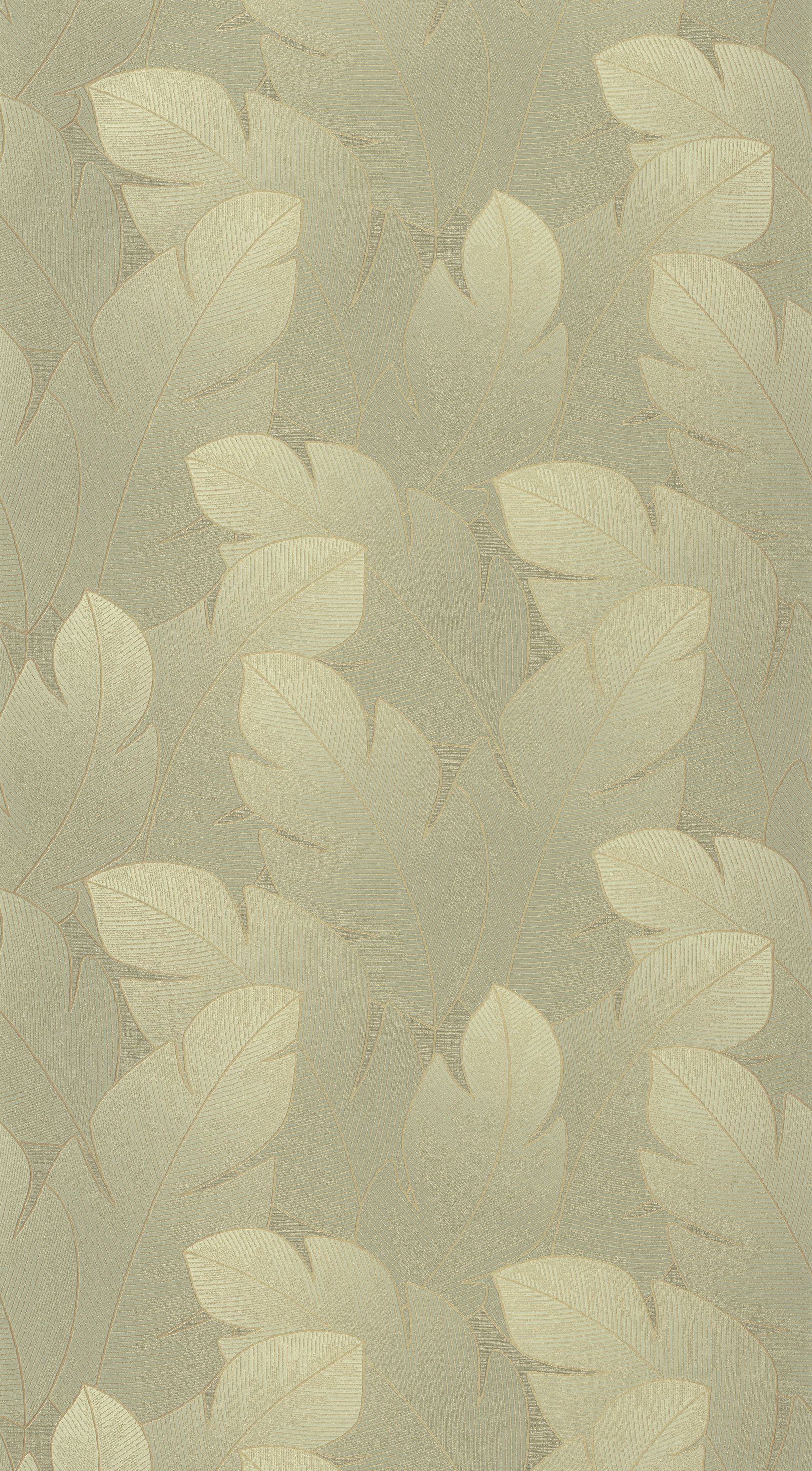 Yuto - VEGE201297447