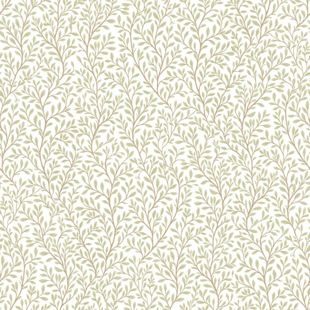 Fruscio - 8365