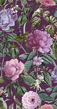 Botanicus - 99428
