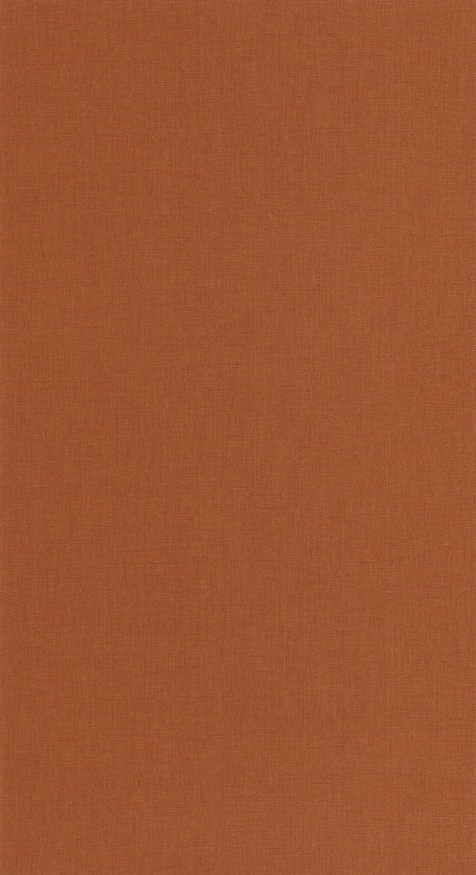 Caractere - CARA201173553