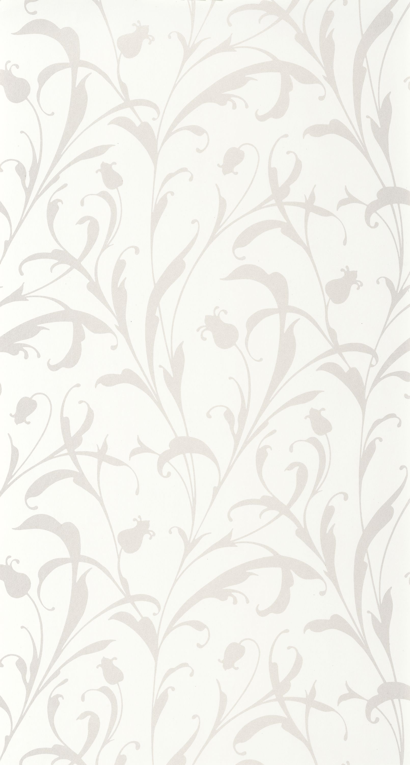 Opaline - EXIR202000245