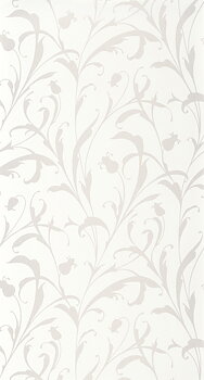 Opaline - EXIR202000245